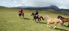 Ecuador-Highlands Riding Tours-Volcano Avenue and Cotopaxi Ride